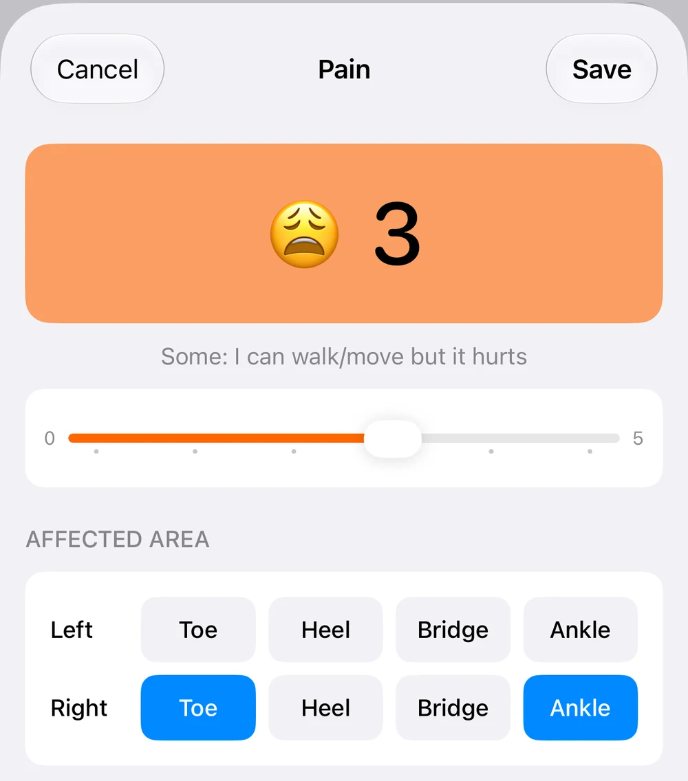 Gout Journal pain input with intensity three and the right toe and ankle selected.
