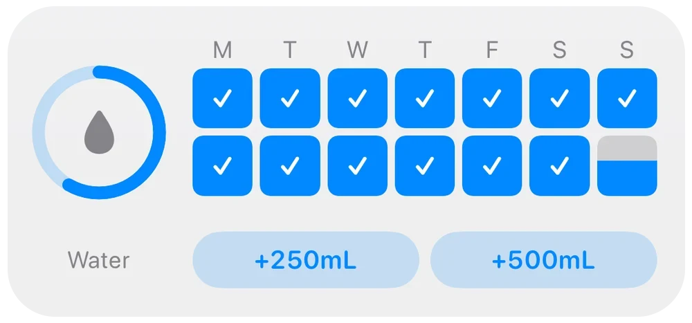 Gout Journal water widget showing a two-week intake record and quick-add buttons.